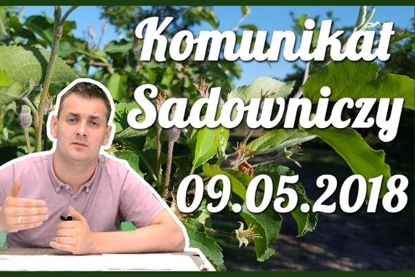 Komunikat sadowniczy nr 7 z dnia 09.05.2018